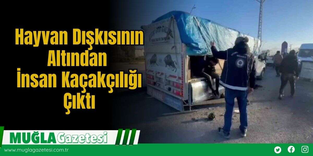 Hayvan Dışkısıyla Kamufle Edilen Kamyonette Kaçak Göçmenler Yakalandı