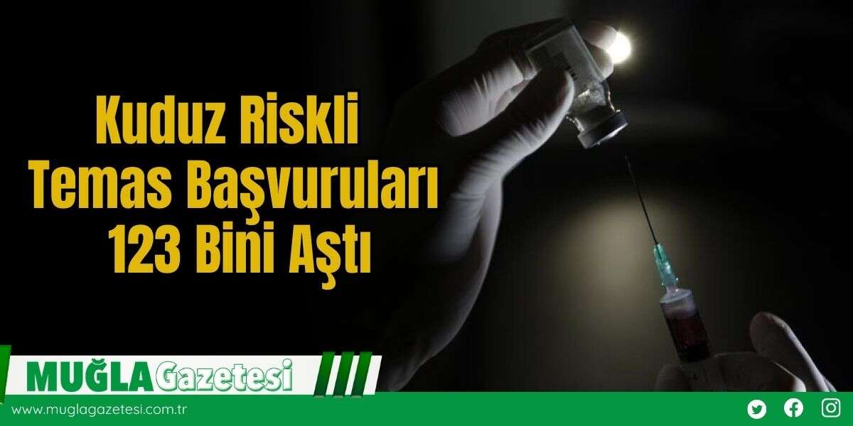 Kuduz Riskli Temas Başvuruları 123 Bini Aştı