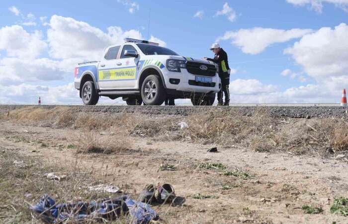 Gelincik Toplarken Canından Oldu