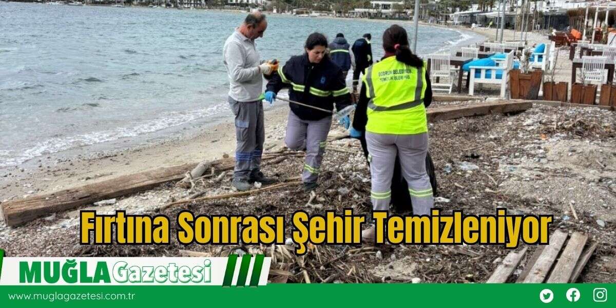 Fırtına Sonrası Şehir Temizleniyor
