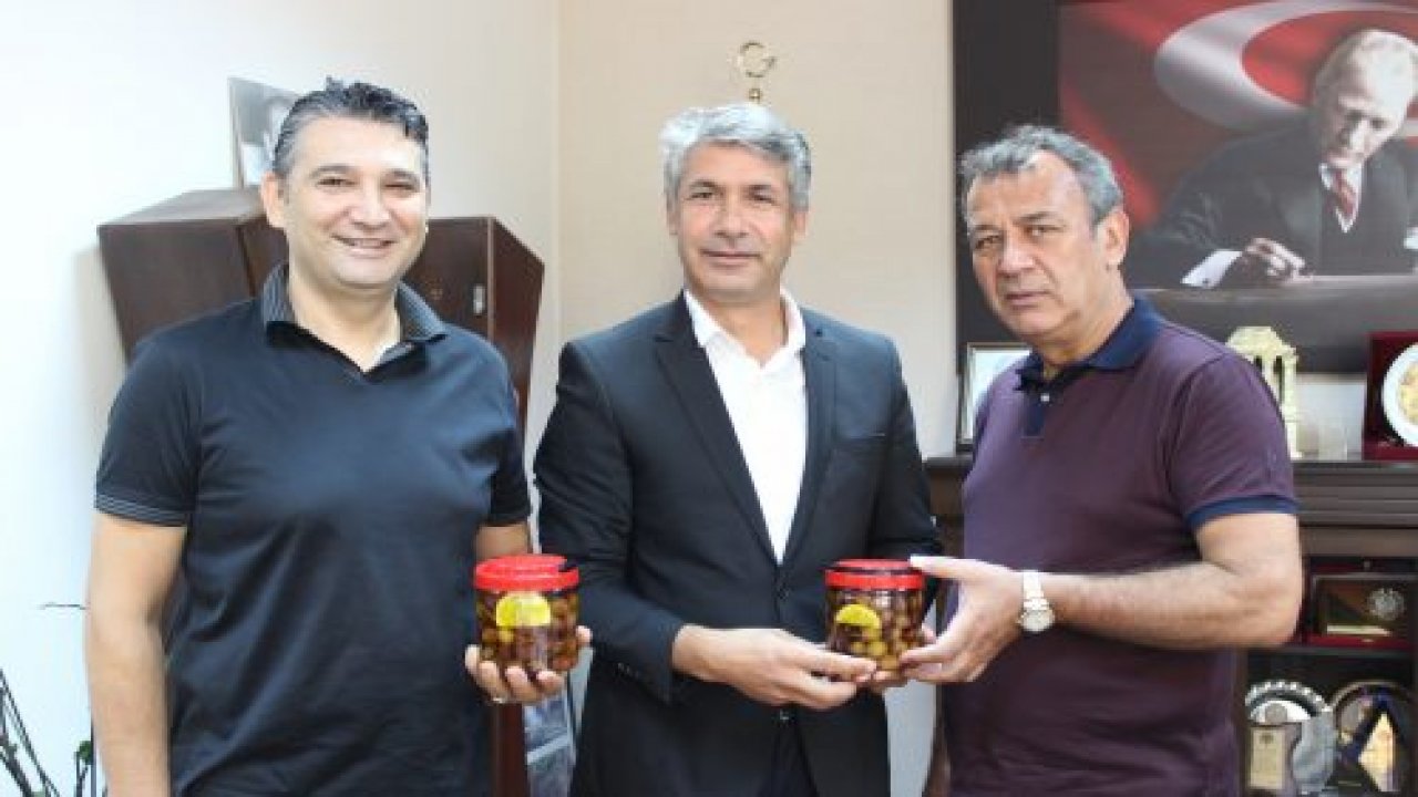 Milas Yağlı Zeytini'ne Coğrafi İşaret İçin İşlem Tamam