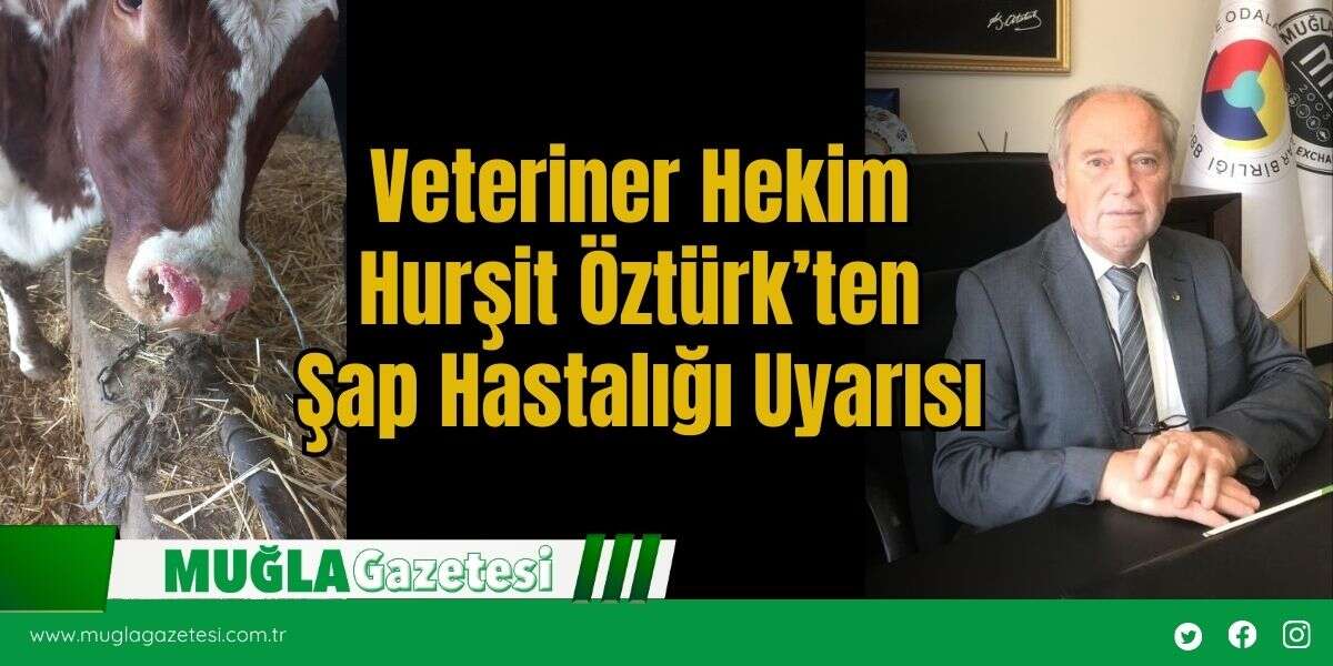 Veteriner Hekim Hurşit Öztürk’ten Şap Hastalığı Uyarısı