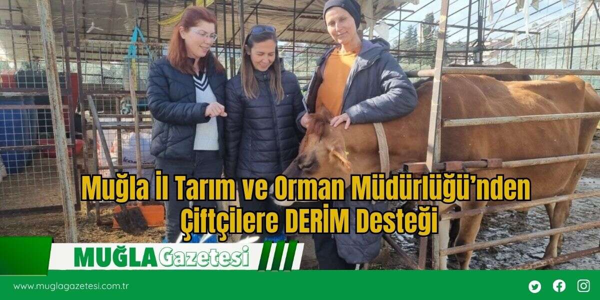 Muğla İl Tarım ve Orman Müdürlüğü’nden Çiftçilere DERİM Desteği