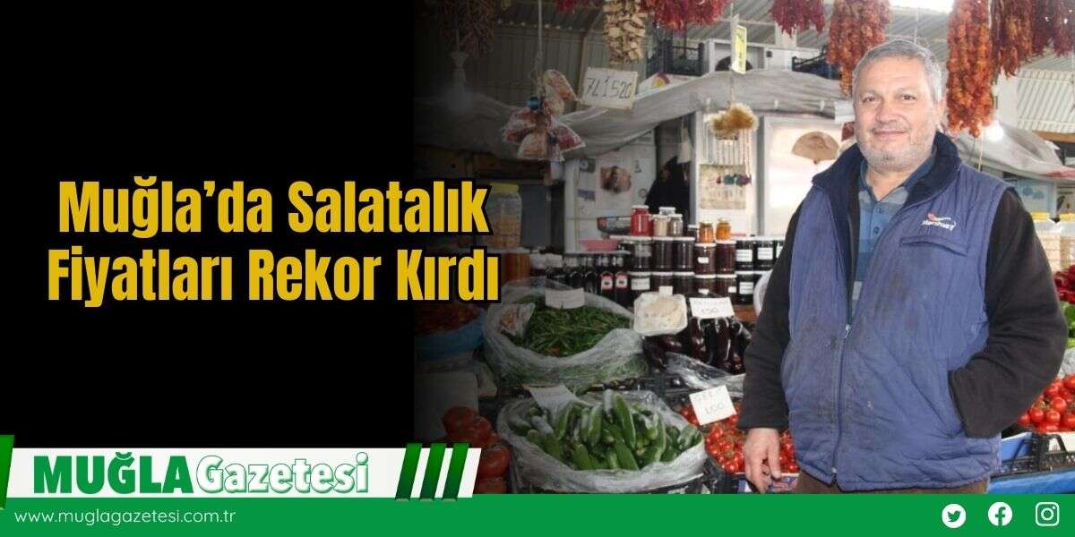 Muğla’da Salatalık Fiyatları Rekor Kırdı