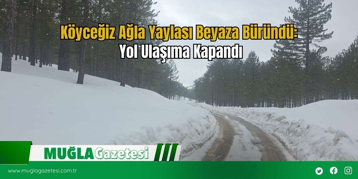 Köyceğiz Ağla Yaylası Beyaza Büründü: Yol Ulaşıma Kapandı