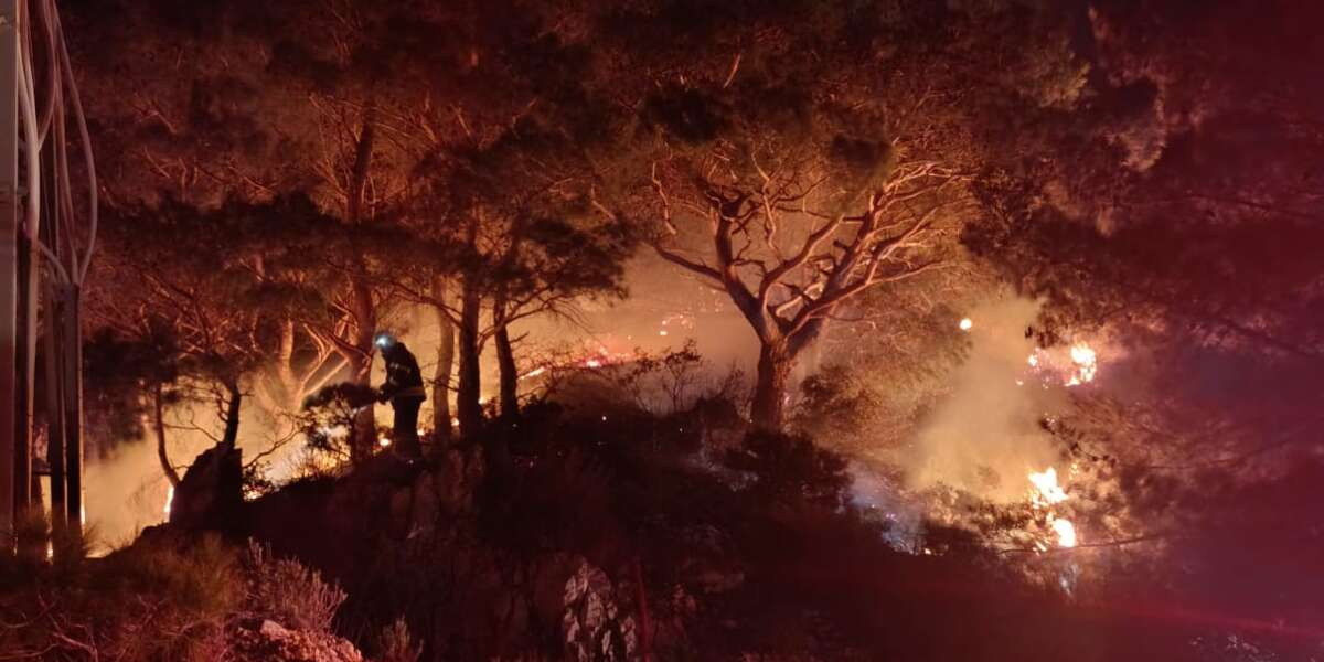 Bodrum’da Orman Yangını Alarmı: Ekipler Bölgeye Sevk Edildi