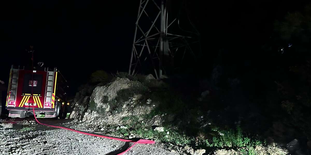 Bodrum’da Korkutan Yangın: Trafodan Sıçrayan Kıvılcım Ormanı Tutuşturdu