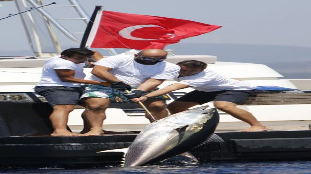 Büyük yarış başlıyor