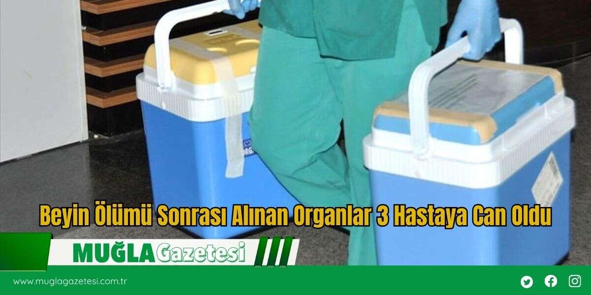 Beyin Ölümü Sonrası Alınan Organlar 3 Hastaya Can Oldu