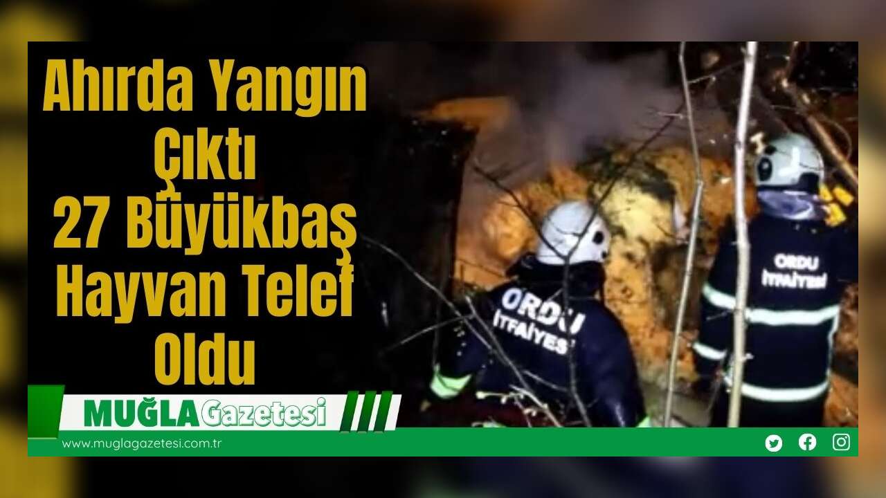 Ahırda Yangın Çıktı: 27 Büyükbaş Hayvan Telef Oldu