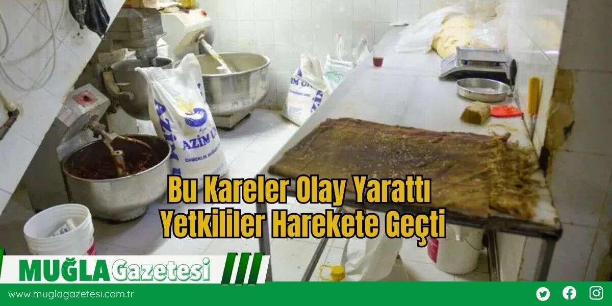 Bu Kareler Olay Yarattı Yetkililer Harekete Geçti