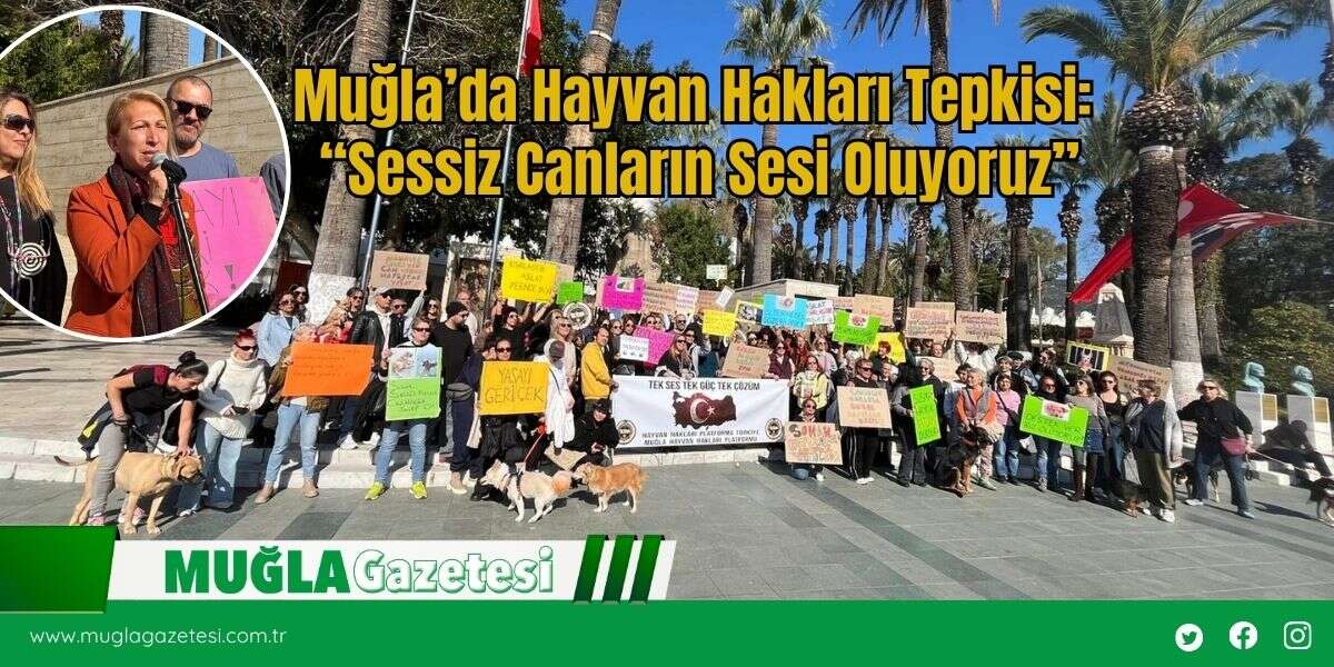 Muğla’da Hayvan Hakları Tepkisi: “Sessiz Canların Sesi Oluyoruz”