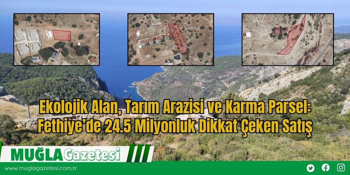 Ekolojik Alan, Tarım Arazisi ve Karma Parsel: Fethiye’de 24.5 Milyonluk Dikkat Çeken Satış