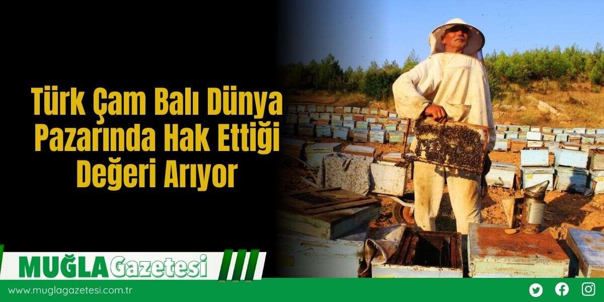 Türk Çam Balı Dünya Pazarında Hak Ettiği Değeri Arıyor
