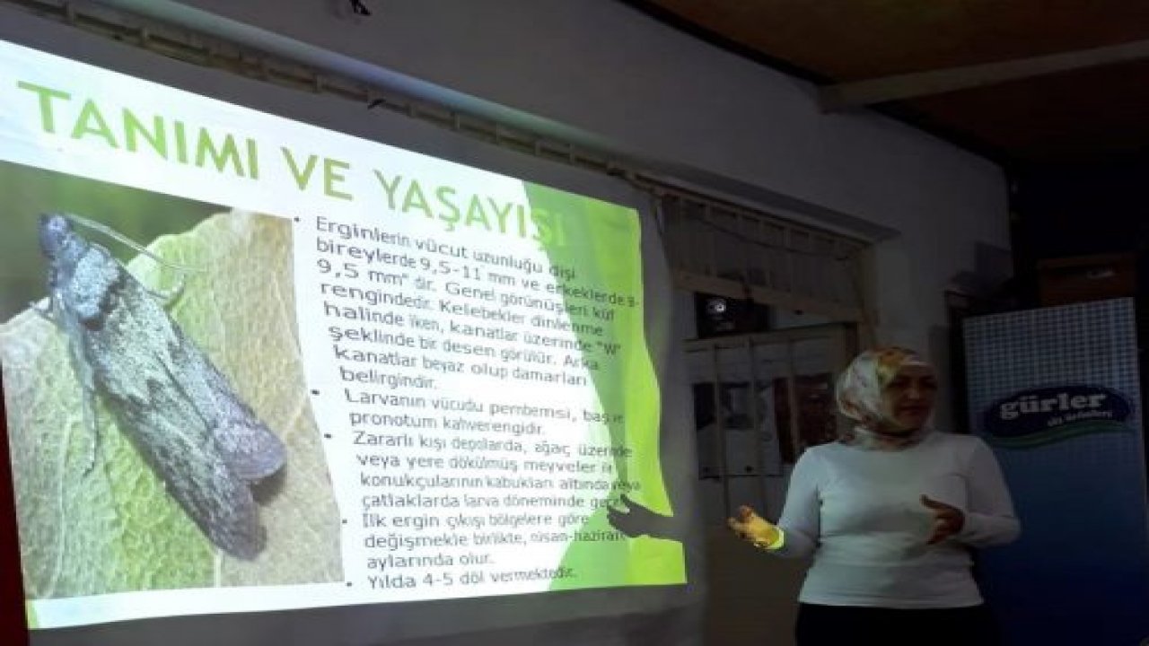 Akdeniz Meyve Sineğine Dikkat!