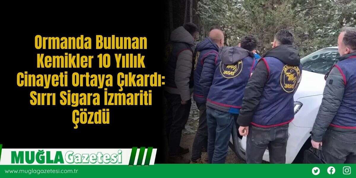 Ormanda Bulunan Kemikler 10 Yıllık C*nayeti Ortaya Çıkardı: Sırrı Sigara İzmariti Çözdü