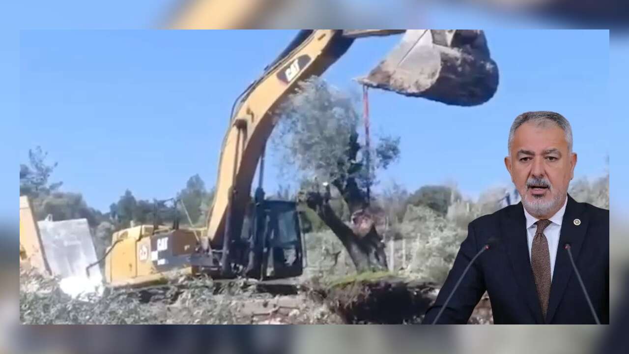 Akbelen’de Asırlık Zeytin Ağaçları Söküldü: Cumhur Uzun’dan Sert Tepki