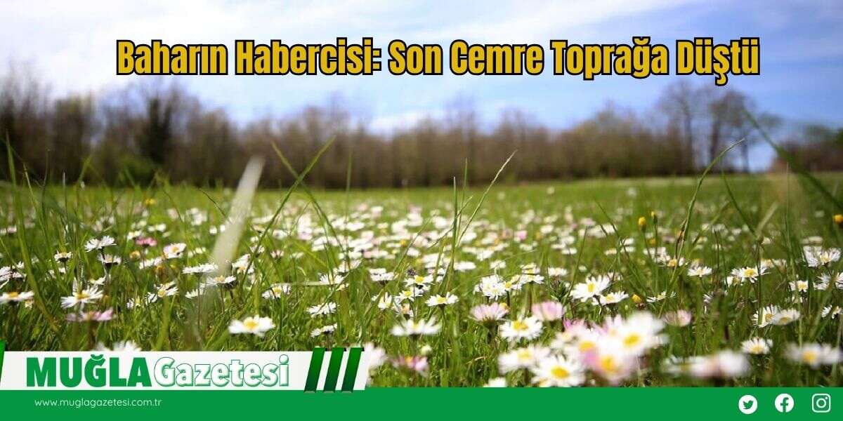 Baharın Habercisi: Son Cemre Toprağa Düştü