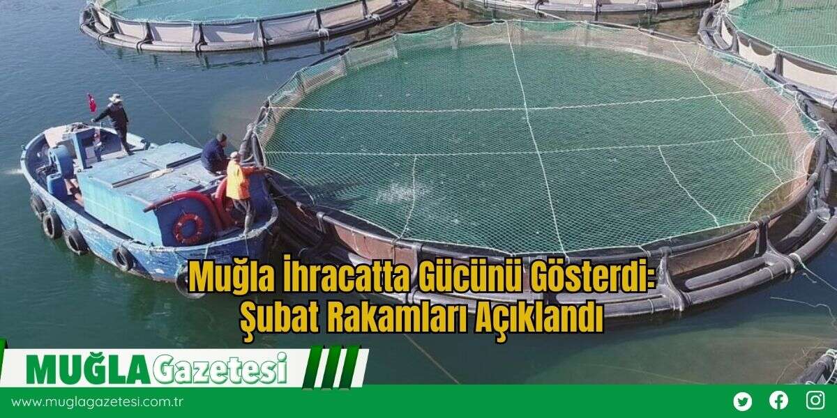 Muğla İhracatta Gücünü Gösterdi: Şubat Rakamları Açıklandı