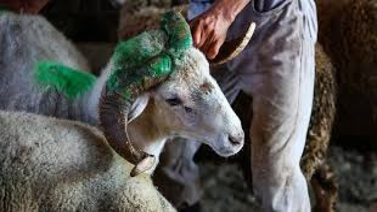 Kurban kesim ücretleri açıklandı