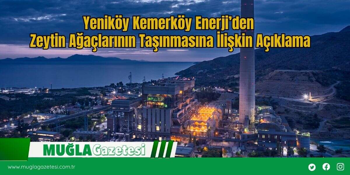 Yeniköy Kemerköy Enerji’den Zeytin Ağaçlarının Taşınmasına İlişkin Açıklama