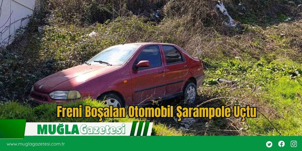 Freni Boşalan Otomobil Şarampole Uçtu