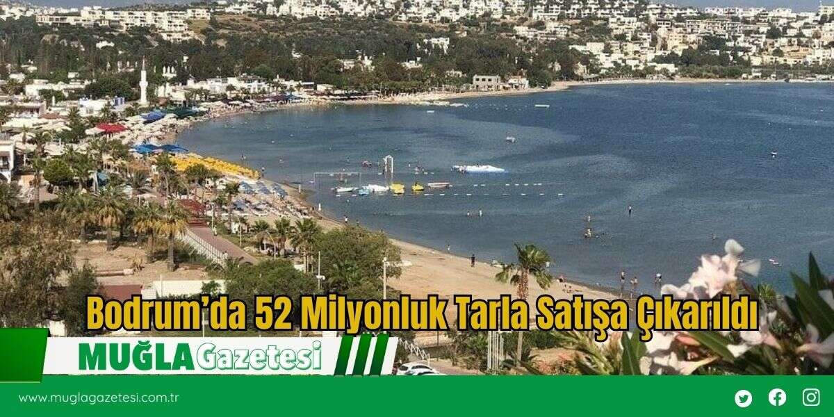 Bodrum’da 52 Milyonluk Tarla Satışa Çıkarıldı