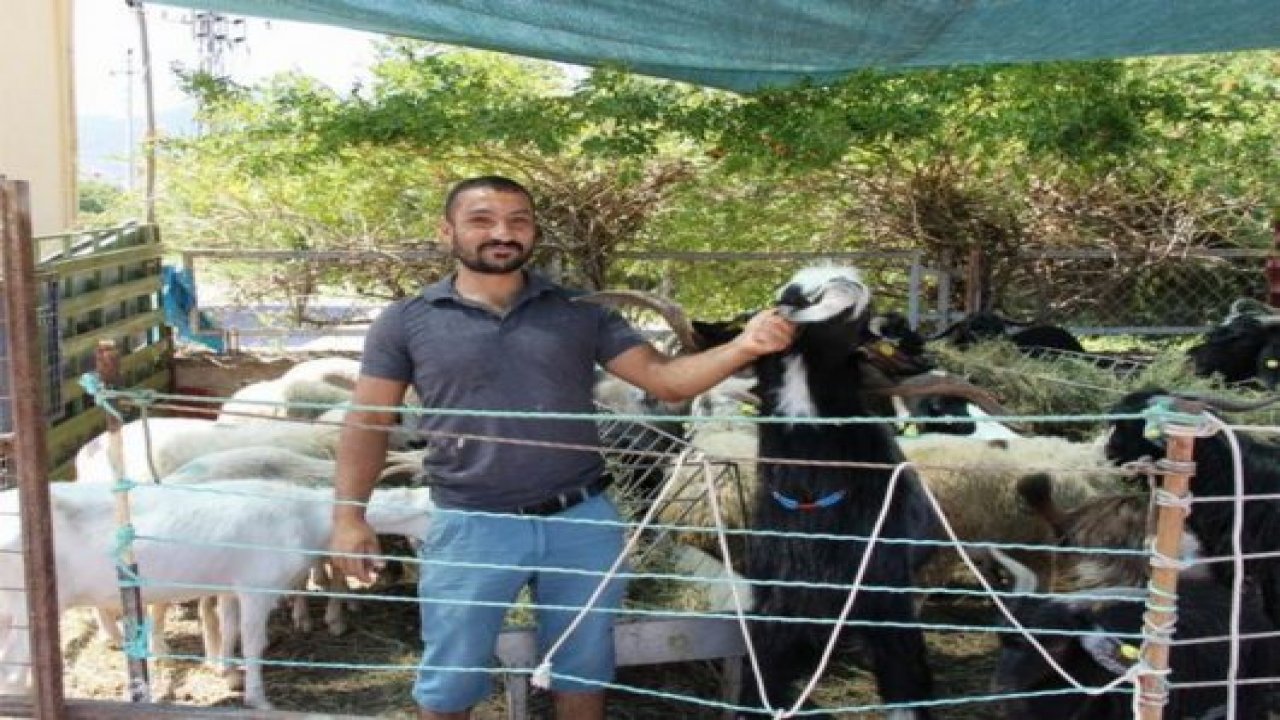 Kurbanlık satışları başladı