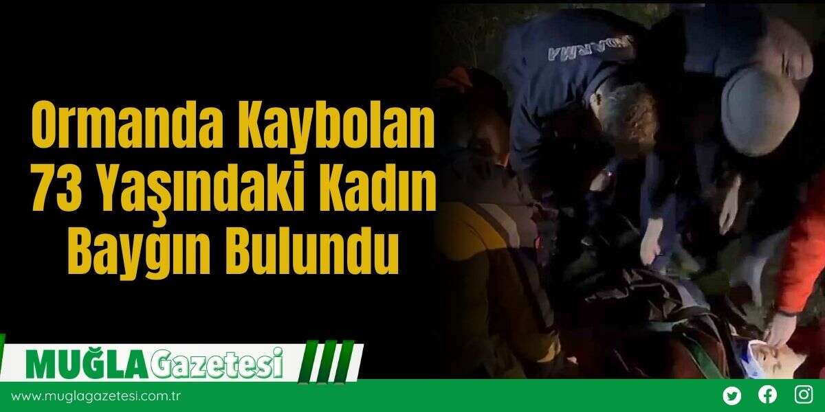 Ormanda Kaybolan 73 Yaşındaki Kadın Baygın Bulundu