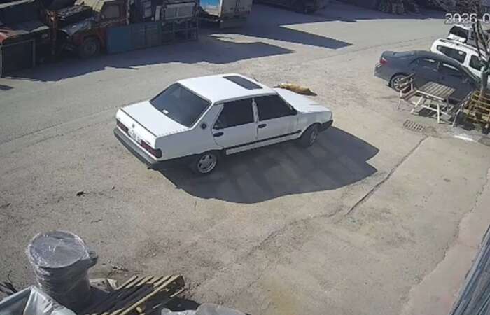 Yolda Yatan Köpeğin Üzerinden Geçti: Sürücü Gözaltına Alındı