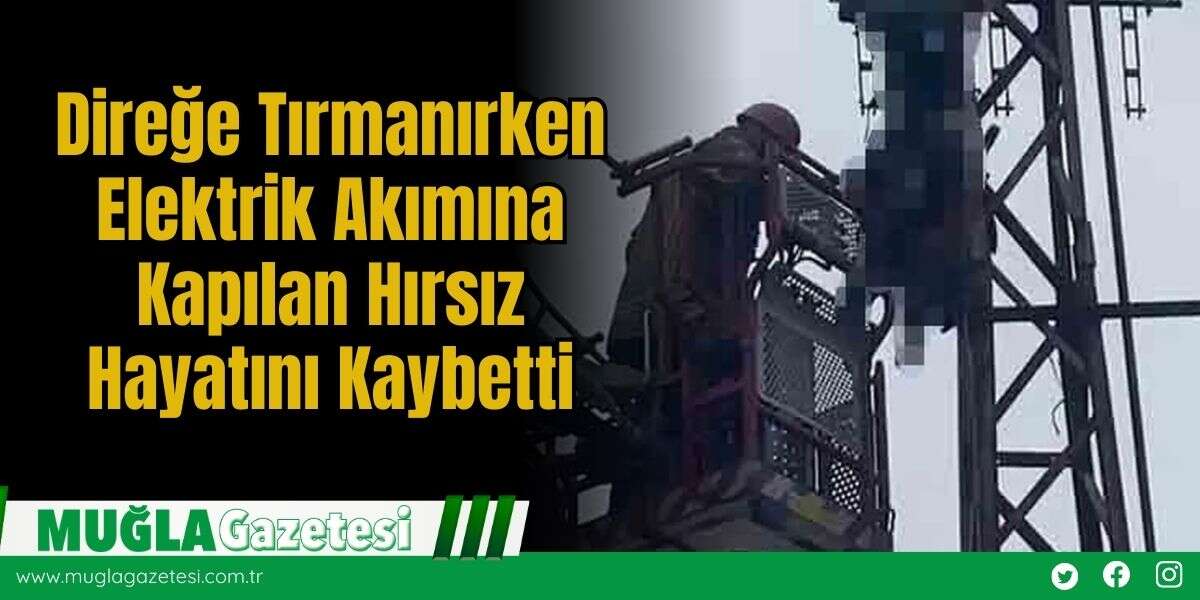 Direğe Tırmanırken Elektrik Akımına Kapılan Hırsız Hayatını Kaybetti