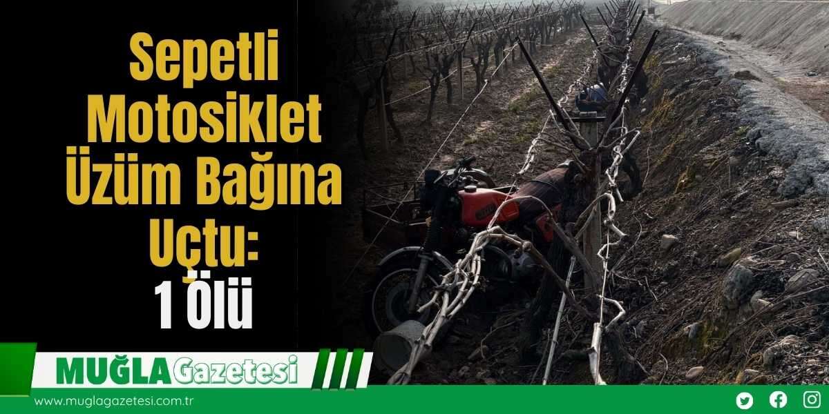 Sepetli Motosiklet Üzüm Bağına Uçtu: 1 Ölü