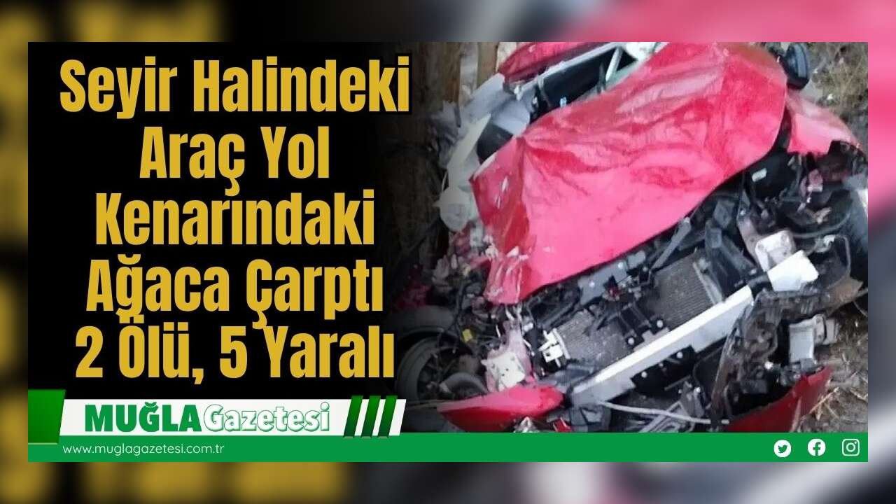 Seyir Halindeki Araç Yol Kenarındaki Ağaca Çarptı ; 2 Ölü, 5 Yaralı