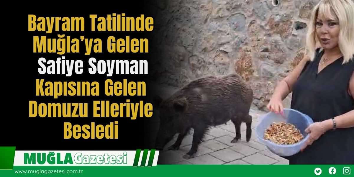 Bayram Tatilinde Muğla’ya Gelen Safiye Soyman Kapısına Gelen Domuzu Elleriyle Besledi