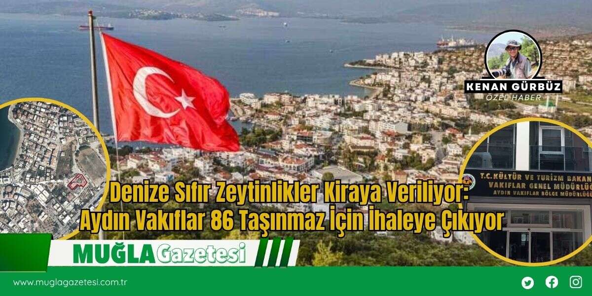 Denize Sıfır Zeytinlikler Kiraya Veriliyor: Aydın Vakıflar 86 Taşınmaz İçin İhaleye Çıkıyor