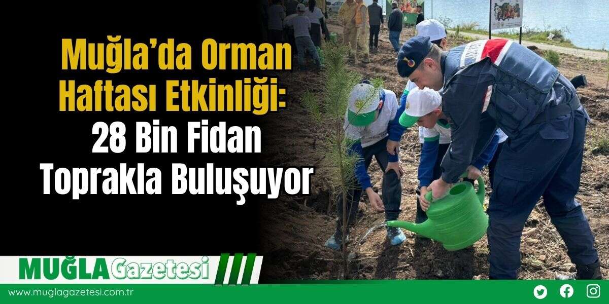 Muğla’da Orman Haftası Etkinliği: 28 Bin Fidan Toprakla Buluşuyor