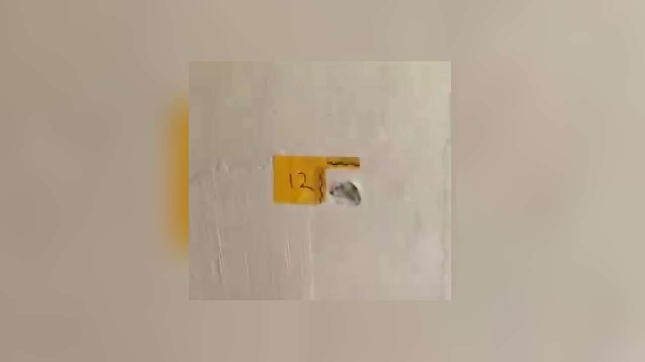 "Polisiz" Diyerek Eve Giren Şüpheliler Anne İle Oğlunu Vurdu