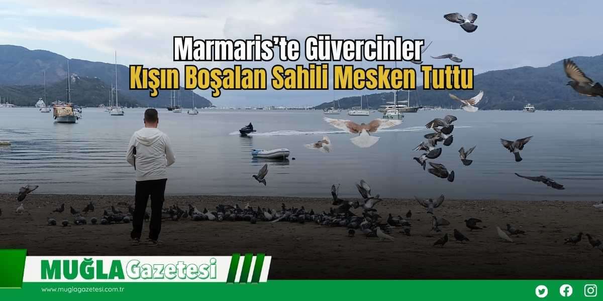 Marmaris’te Güvercinler Kışın Boşalan Sahili Mesken Tuttu