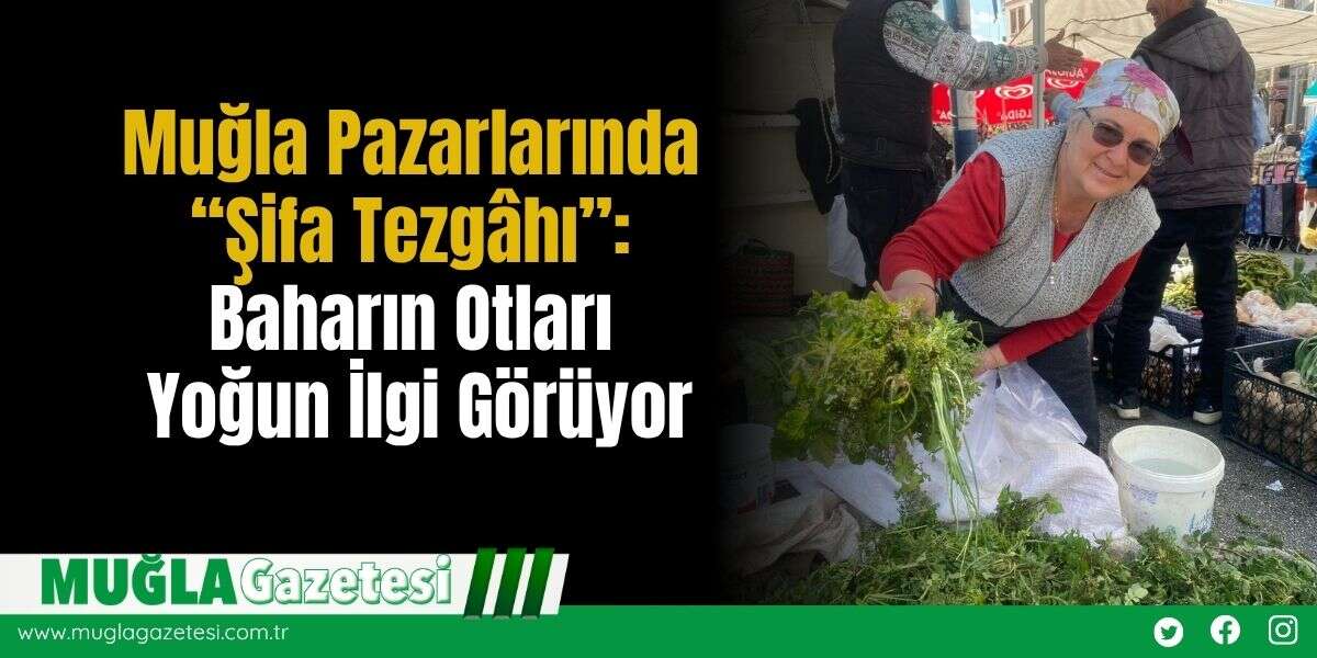 Muğla Pazarlarında “Şifa Tezgâhı”: Baharın Otları Yoğun İlgi Görüyor