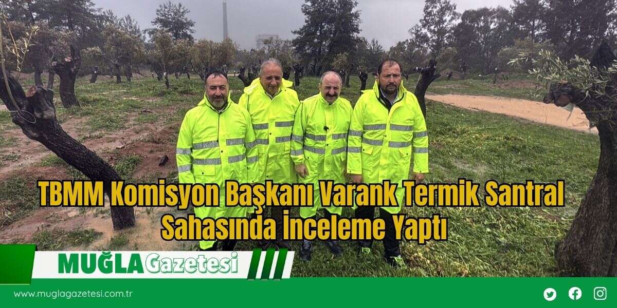 TBMM Komisyon Başkanı Varank Termik Santral Sahasında İnceleme Yaptı