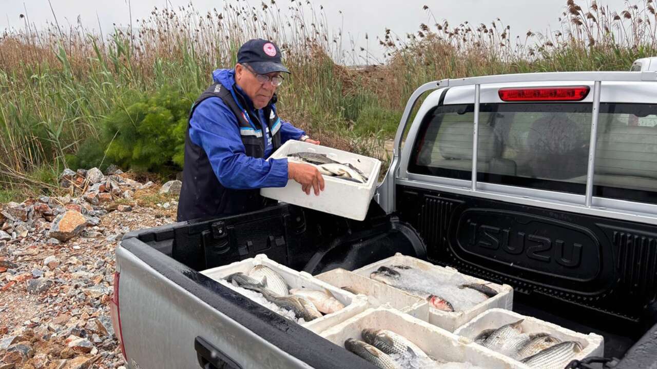 Kaçak Av Operasyonu: 80 Kilo Balığa El Konuldu