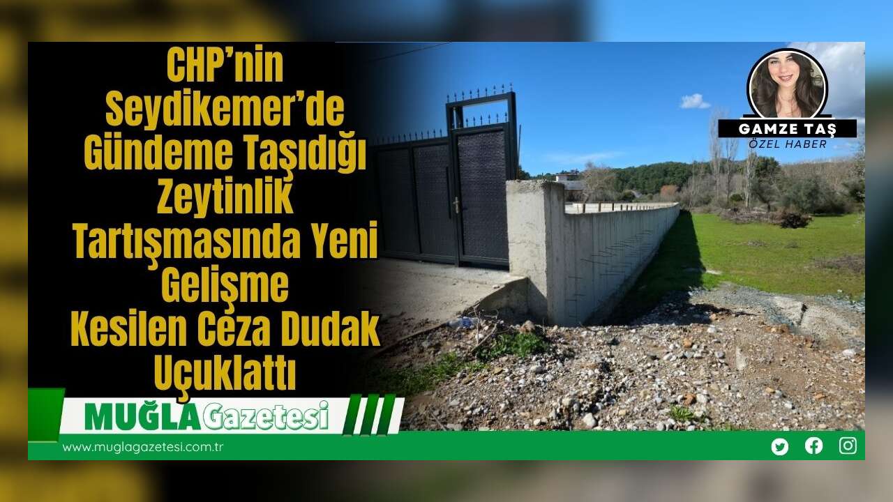 CHP’nin Seydikemer’de  Gündeme Taşıdığı Zeytinlik Tartışmasında Yeni Gelişme: Kesilen Ceza Dudak Uçuklattı