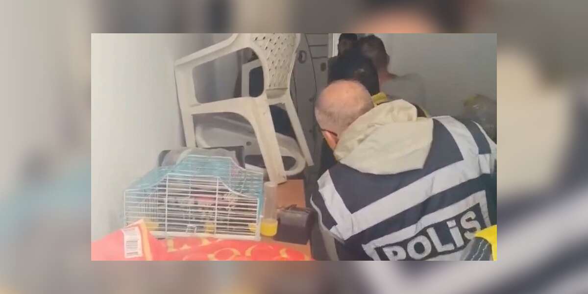 Marmaris'te Turistleri Hedef Alan Dolandırıcılık Çetesi Çökertildi