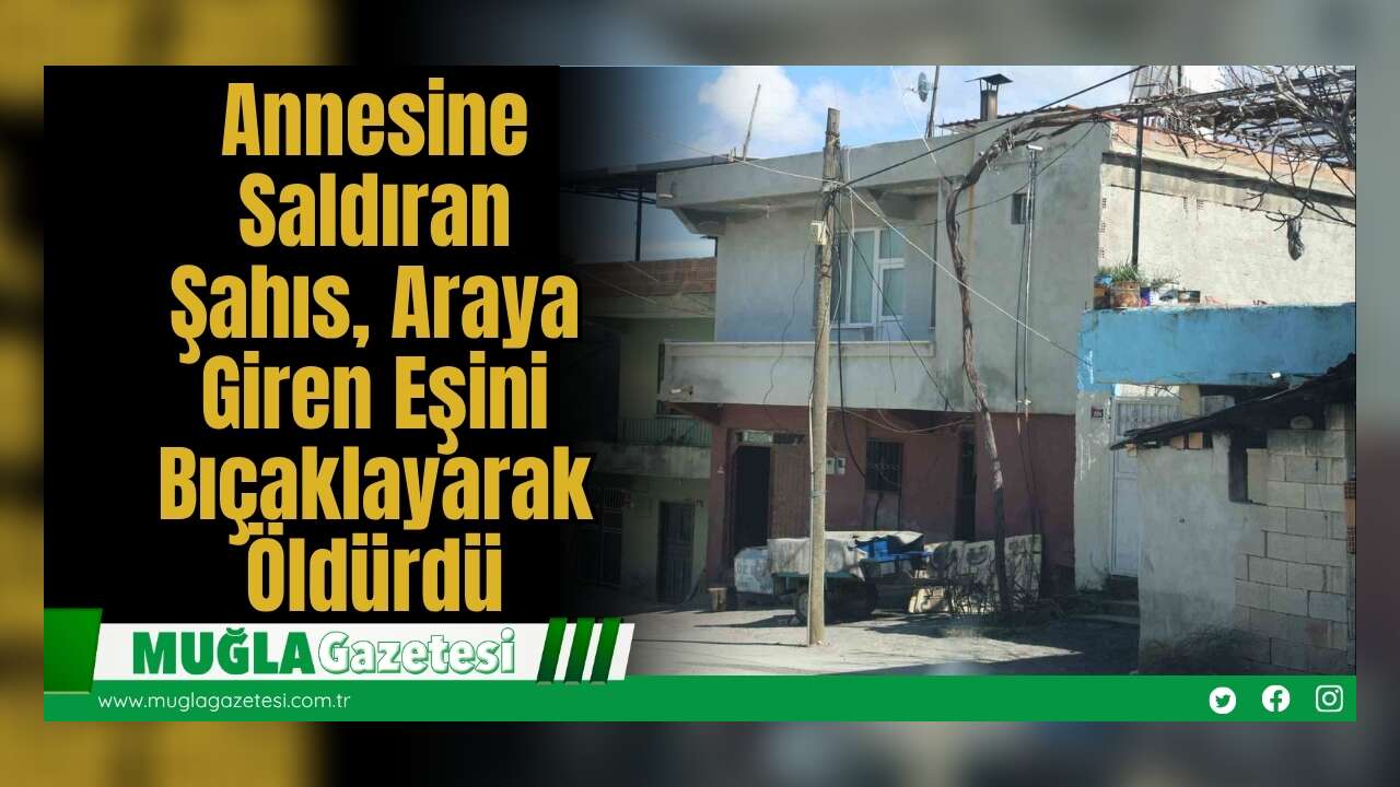 Annesine Saldıran Şahıs, Araya Giren Eşini Bıçakl*yarak Öldürdü