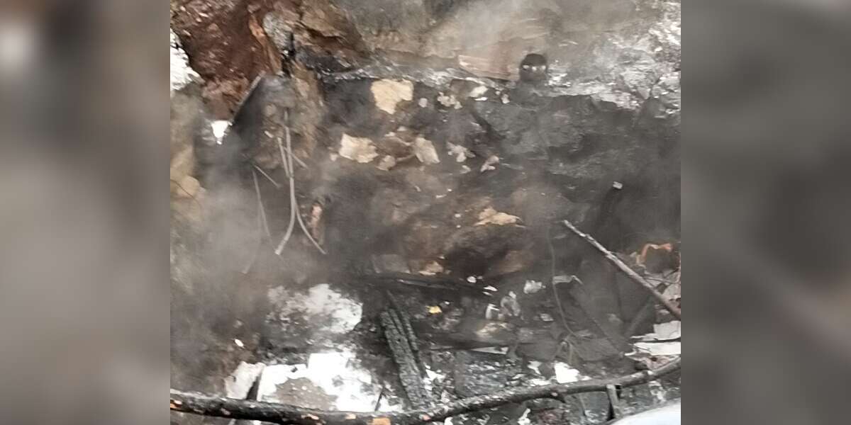 Milas’ta Yeşil Alanda Yangın: Kısa Sürede Söndürüldü