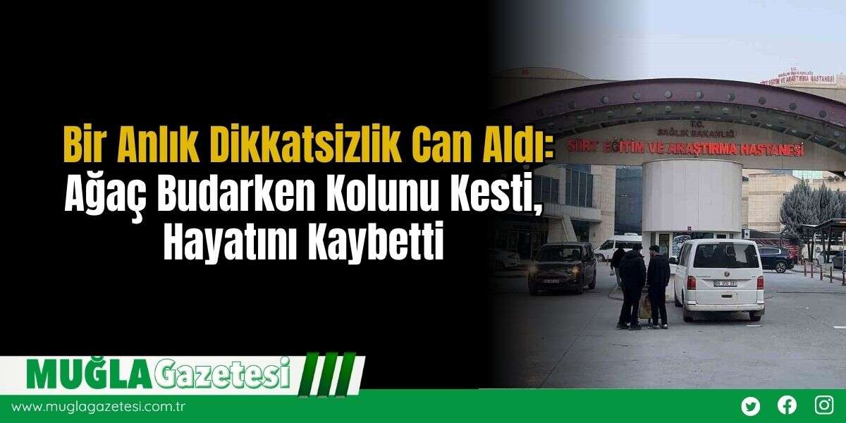 Bir Anlık Dikkatsizlik Can Aldı: Ağaç Budarken Kolunu Kesti, Hayatını Kaybetti