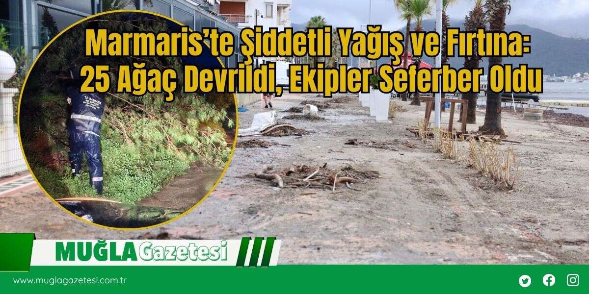 Marmaris’te Şiddetli Yağış ve Fırtına: 25 Ağaç Devrildi, Ekipler Seferber Oldu
