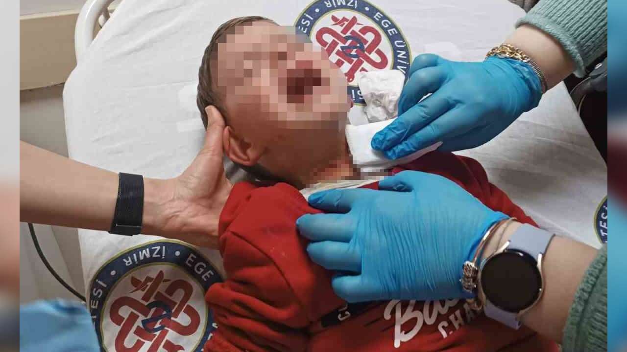 Parkta Oynayan 2 Yaşındaki Çocuğa B*çaklı Saldırı