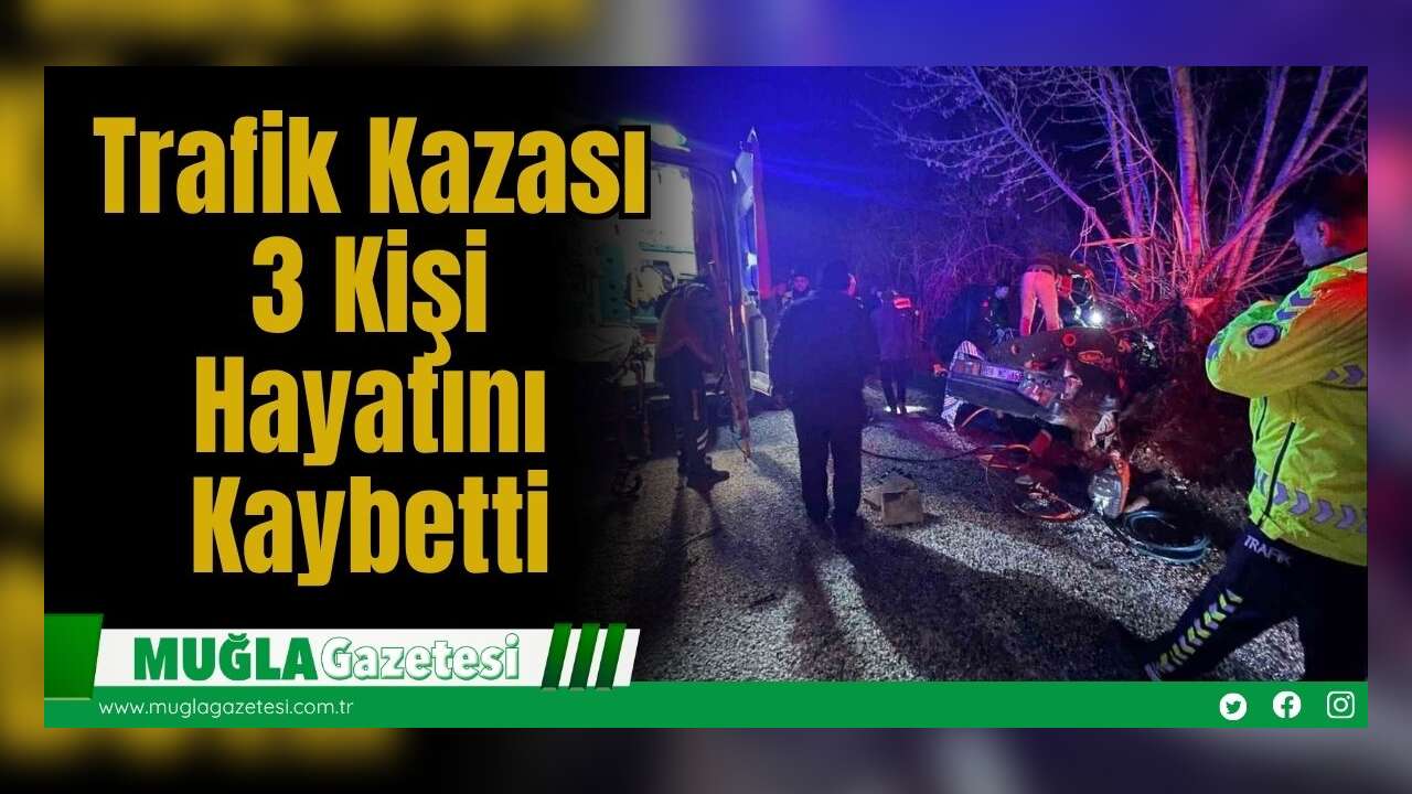 Trafik Kazası: 2 Kişi Hayatını Kaybetti