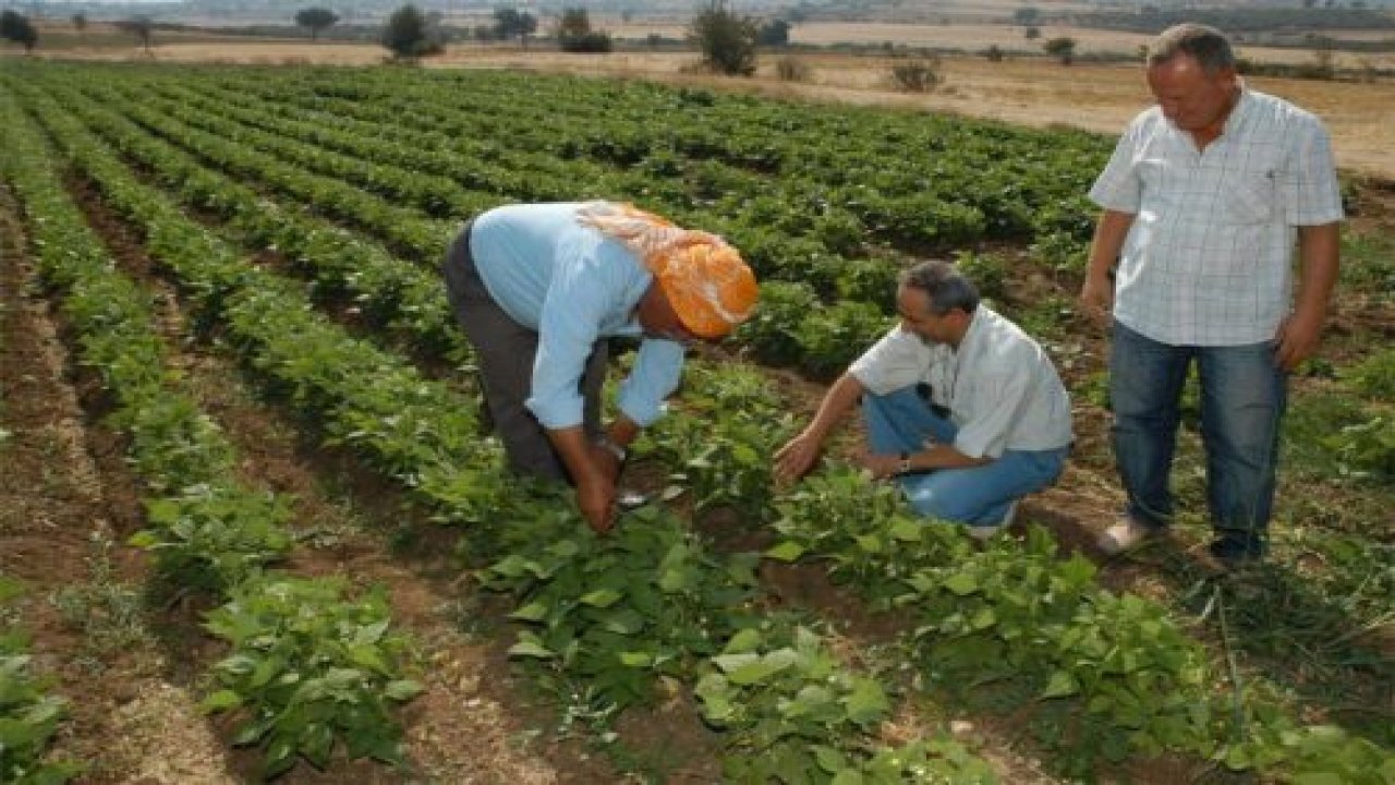 Sertifikalı Tarım Danışmanlığı uygulaması